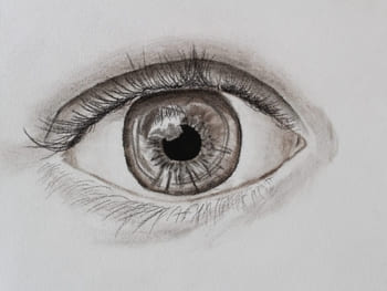 The Eye - Graphite Pencil